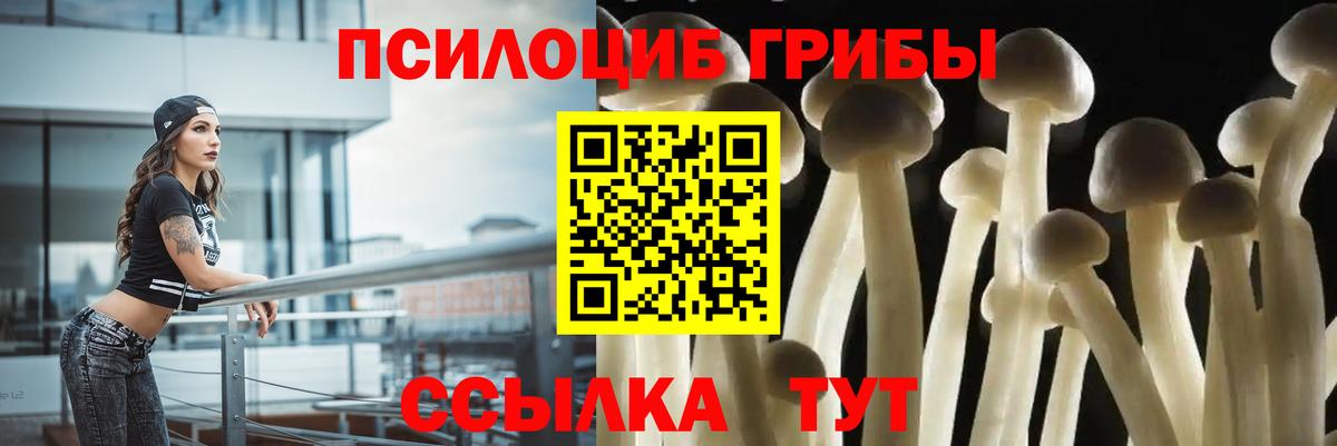Галлюциногенные грибы мицелий  Псилоцибиновые грибы Magic Shrooms  Вход с VPN  Корсаков 